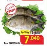 Promo Harga Ikan Baronang per 100 gr - Superindo