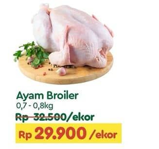 Promo Harga Ayam Broiler 700 gr - TIP TOP