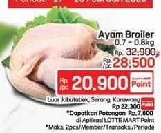 Promo Harga Ayam Broiler 700 gr - Lotte Grosir