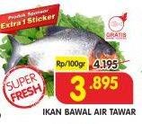 Promo Harga Ikan Bawal Tawar per 100 gr - Superindo