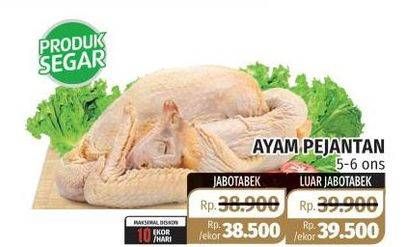 Promo Harga Ayam Pejantan 5-6 Ons  - Lotte Grosir