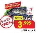 Promo Harga Ikan Mujair per 100 gr - Superindo