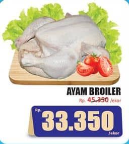 Promo Harga Ayam Broiler 500 gr - Hari Hari