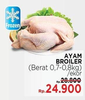 Promo Harga Ayam Broiler  - LotteMart