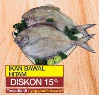 Promo Harga Ikan Bawal Hitam per 100 gr - Yogya