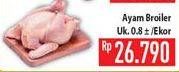 Promo Harga Ayam Broiler  - Hypermart