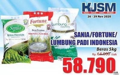 Promo Harga SANIA/FORTUNE/LUMBUNG PADI INDONESIA Beras 5 kg RP. 58.790/zak  - Hari Hari