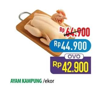 Promo Harga Ayam Kampung 1000 gr - Hypermart
