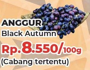 Promo Harga Anggur Black Autumn All Variants per 100 gr - Yogya