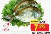 Promo Harga Ikan Bawal Hitam per 100 gr - Superindo