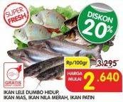 Promo Harga Ikan Lele Dumbo Hidup, Ikan Mas, Ikan Nila Merah, Ikan Patin  - Superindo