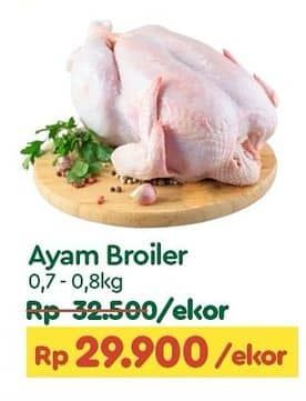 Promo Harga Ayam Broiler 500 gr - TIP TOP