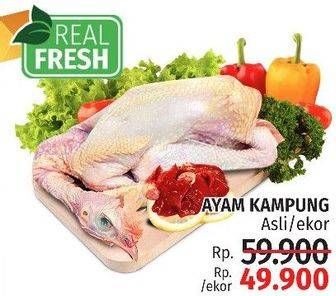 Promo Harga Ayam Kampung  - LotteMart