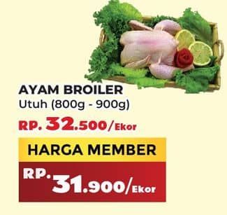 Promo Harga Ayam Broiler 800 gr - Yogya