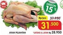 Promo Harga Ayam Pejantan  - Superindo