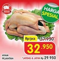 Promo Harga Ayam Pejantan  - Superindo