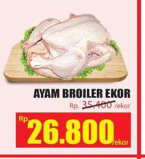 Promo Harga Ayam Broiler  - Hari Hari