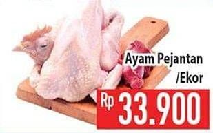 Promo Harga Ayam Pejantan  - Hypermart