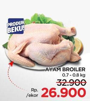 Promo Harga Ayam Broiler 800 gr - Lotte Grosir