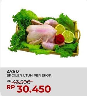 Promo Harga Ayam Broiler 500 gr - Yogya