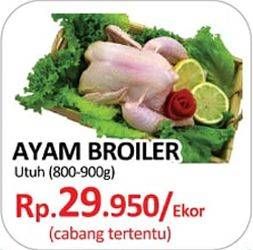 Promo Harga Ayam Broiler  - Yogya