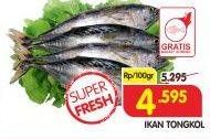 Promo Harga Ikan Tongkol per 100 gr - Superindo