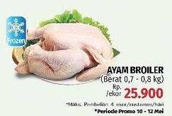 Promo Harga Ayam Broiler  - LotteMart