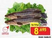 Promo Harga Ikan Gabus per 100 gr - Superindo