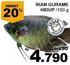 Promo Harga Ikan Gurame per 100 gr - Giant