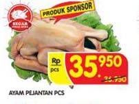 Promo Harga Ayam Pejantan  - Superindo