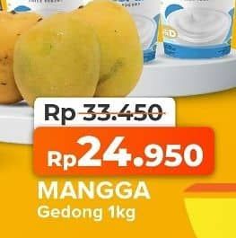 Promo Harga Mangga Gedong per 100 gr - Yogya