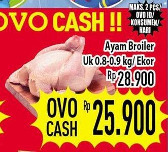 Promo Harga Ayam Broiler  - Hypermart