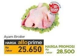 Promo Harga Ayam Broiler 900 gr - Carrefour