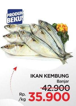 Promo Harga Ikan Kembung Banjar  - Lotte Grosir