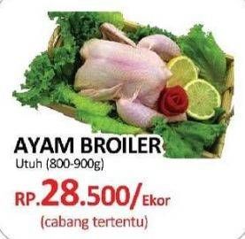 Promo Harga Ayam Broiler  - Yogya