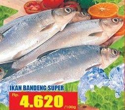 Promo Harga Ikan Bandeng Super per 100 gr - Hari Hari