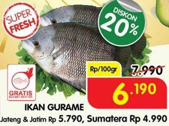 Promo Harga Ikan Gurame per 100 gr - Superindo