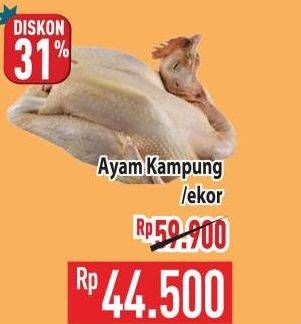 Promo Harga Ayam Kampung 700 gr - Hypermart
