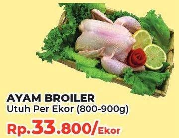 Promo Harga Ayam Broiler 800 gr - Yogya