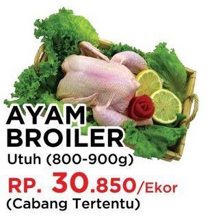 Promo Harga Ayam Broiler 800 gr - Yogya