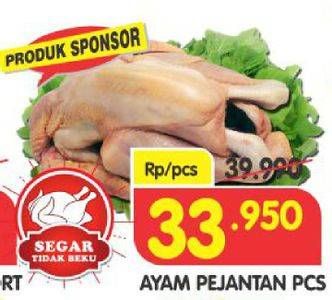 Promo Harga Ayam Pejantan  - Superindo