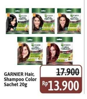 Promo Harga Garnier Hair Color 20 gr - Alfamidi