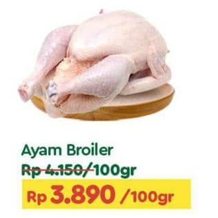 Ayam Broiler