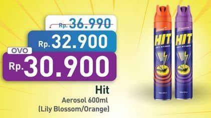 Promo Harga HIT Aerosol Lilly Blossom, Orange 600 ml - Hypermart