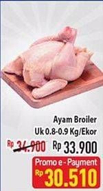 Promo Harga Ayam Broiler 800 gr - Hypermart