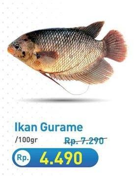 Promo Harga Ikan Gurame per 100 gr - Hypermart