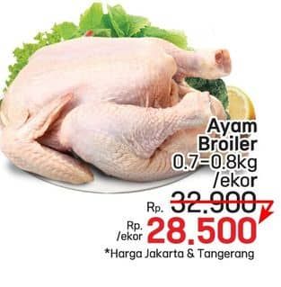 Ayam Broiler