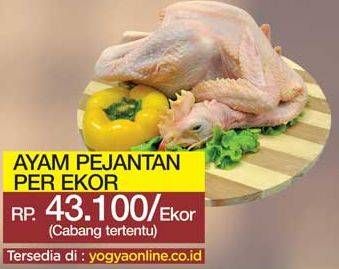 Promo Harga Ayam Pejantan  - Yogya