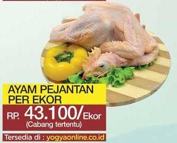 Promo Harga Ayam Pejantan  - Yogya