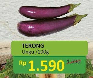 Promo Harga Terong Ungu per 100 gr - Alfamidi